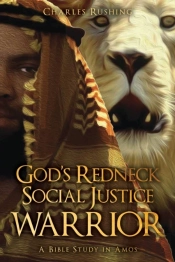 God'S Redneck Social Justice Warrior