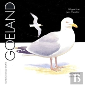 Goeland