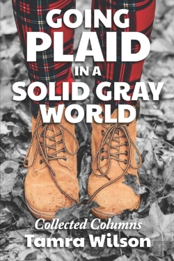 Bertrand.pt - Going Plaid In A Solid Gray World