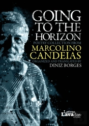 Going to the Horizon