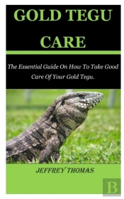 Gold Tegu Care