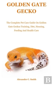 Golden Gate Gecko