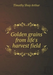 Golden Grains From Life'S Harvest Field