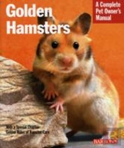 Golden Hamsters Pom