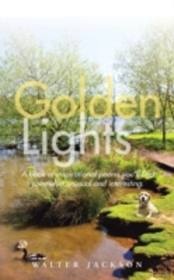 Bertrand.pt - Golden Lights