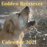 Golden Retriever Calendar 2021