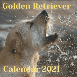 Bertrand.pt - Golden Retriever Calendar 2021