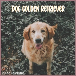 Bertrand.pt - Golden Retriever Dog Calendar 2022