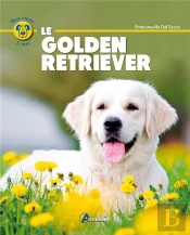 Golden Retriever-(F)