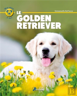 Bertrand.pt - Golden Retriever-(F)