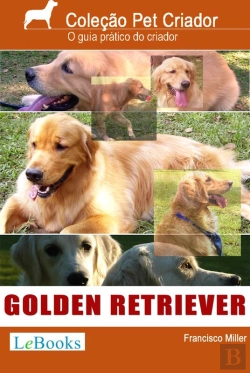 Bertrand.pt - Golden Retriever