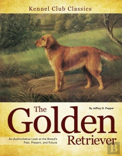 Bertrand.pt - Golden Retriever