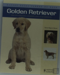Bertrand.pt - Golden Retriever