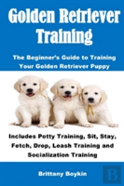 Golden Retriever Training