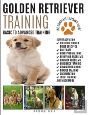 Golden Retriever Training
