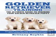 Golden Retriever Training - The Ultimate Guide To Training Your Golden Retriever Puppy