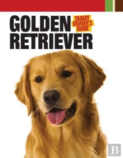 Bertrand.pt - Golden Retriever