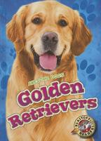 Golden Retrievers