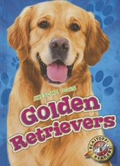 Golden Retrievers