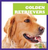 Golden Retrievers