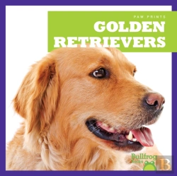Bertrand.pt - Golden Retrievers