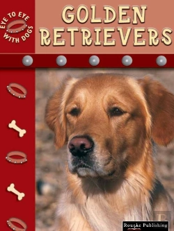 Bertrand.pt - Golden Retrievers