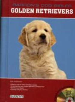 Bertrand.pt - Golden Retrievers Wdvd