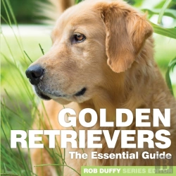 Bertrand.pt - Golden Retrievers