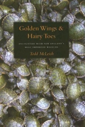 Golden Wings & Hairy Toes