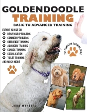 Goldendoodle