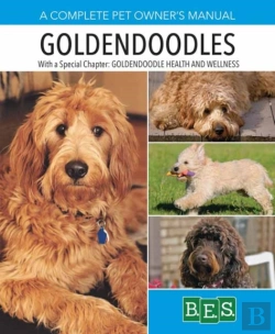 Bertrand.pt - Goldendoodles