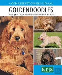 Bertrand.pt - Goldendoodles