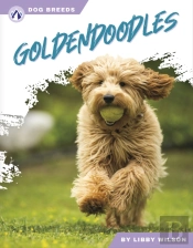 Goldendoodles