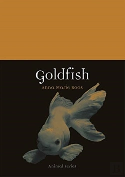 Bertrand.pt - Goldfish