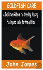 Goldfish Care