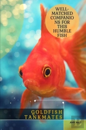 Goldfish Tankmates
