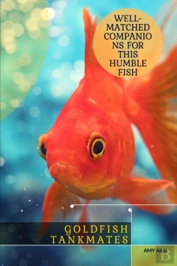 Bertrand.pt - Goldfish Tankmates