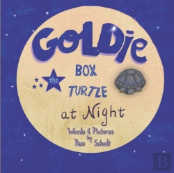 Bertrand.pt - Goldie The Box Turtle At Night