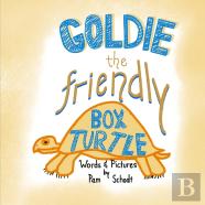 Goldie The Friendly Box Turtle
