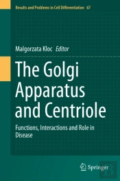 Golgi Apparatus And Centriole