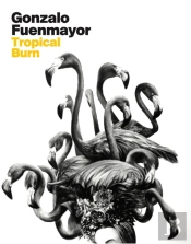 Gonzalo Fuenmayor: Tropical Burn