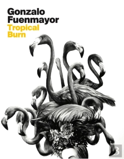 Bertrand.pt - Gonzalo Fuenmayor: Tropical Burn