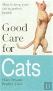 Good Care For Cats
