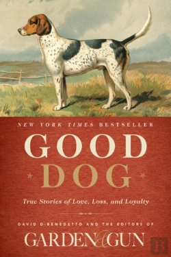 Bertrand.pt - Good Dog