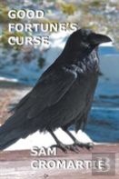 Good Fortune'S Curse