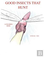 Good Insects That Hunt