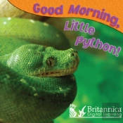 Good Morning, Little Python!