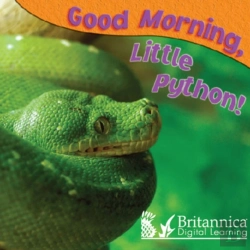 Bertrand.pt - Good Morning, Little Python!