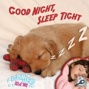 Good Night, Sleep Tight