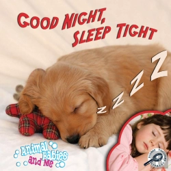 Bertrand.pt - Good Night, Sleep Tight